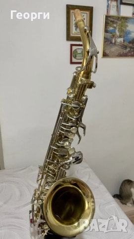 Саксофон Амати ААС 22, снимка 14 - Духови инструменти - 52943716