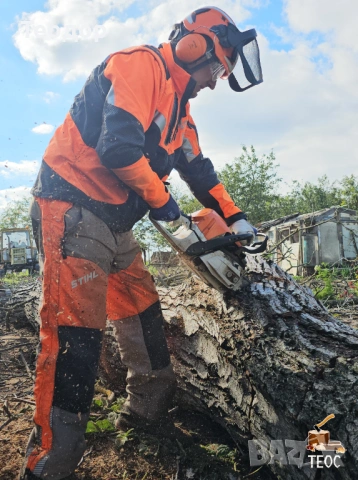 Събаряне на опасни дървета, мулчиране и дробене на клони – Варна, снимка 3 - Хамалски услуги - 53670312