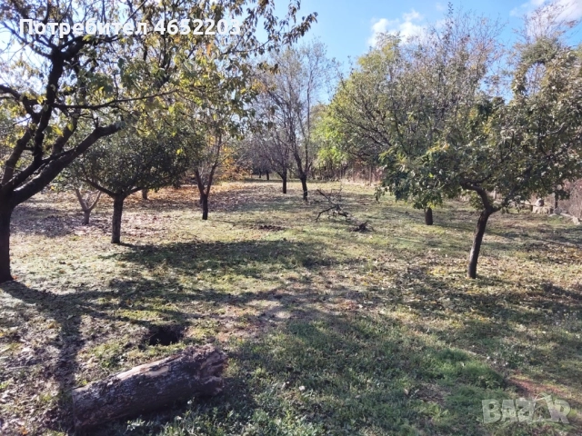 Къща в село Екзарх Йосиф , снимка 10 - Къщи - 52427389