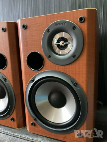 SONY SS-CCP333 bookshelf speakers тонколони, снимка 2 - Тонколони - 54133626