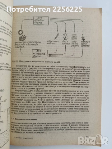 Биохимия на растенията, снимка 3 - Специализирана литература - 51717597
