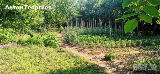 Продавам земеделска земя , снимка 6 - Земеделска земя - 53484515