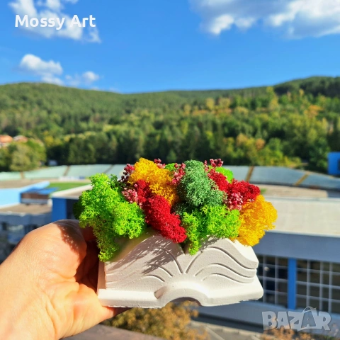 За завършване на учебната година, снимка 5 - Картини - 54212159