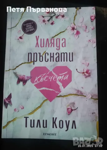 Хиляда пръснати късчета - Тили Коул, снимка 1 - Художествена литература - 48748296