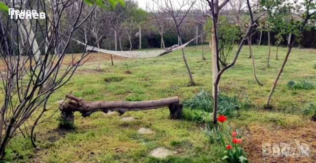 Място край Добрич, снимка 3 - Парцели - 51309114