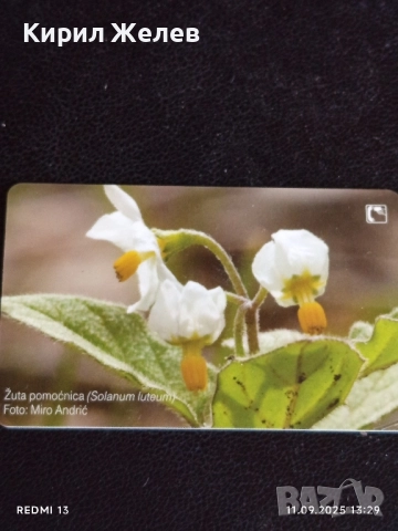 Три фонокарти ХЪРВАТИЯ, ГЕРМАНИЯ стари редки за КОЛЕКЦИЯ ДЕКОРАЦИЯ 50941, снимка 8 - Колекции - 51677998