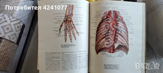 Атлас анатомии человека Синельников Том 1,2 и 3, снимка 7 - Други - 49367604