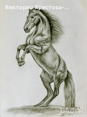 Картина Кон с молив