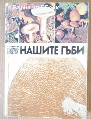 Нашите гъби Цв.Хинкова 12лв, снимка 1 - Специализирана литература - 46201218