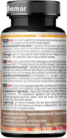 Apollo's Hegemony NAD+ 300 mg Диетична добавка с никотинамид аденин динуклеотид, 60 капсули, снимка 3 - Хранителни добавки - 46798221