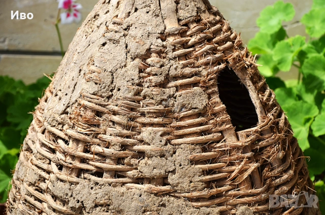 Стара, голяма тръвна за декорация, снимка 8 - Градински мебели, декорация  - 53815443