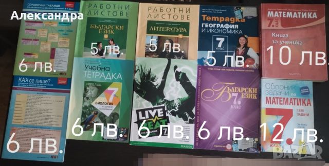 учебни тетрадки, сборници и помагала, снимка 1 - Учебници, учебни тетрадки - 46551570