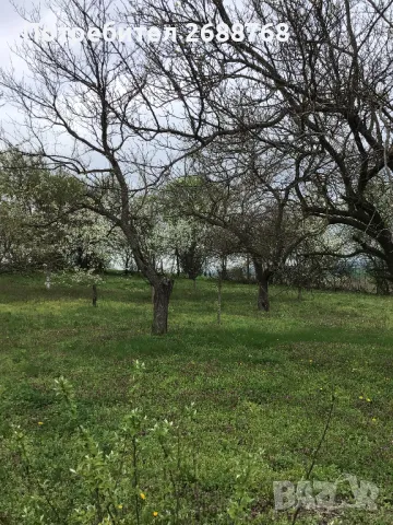 Селска къща, с. Юпер, снимка 11 - Къщи - 50224078