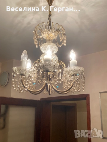 Полилей, снимка 3 - Полилеи - 53763617