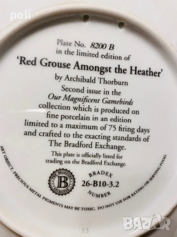 порцеланова чиния за стена 3 , снимка 3 - Декорация за дома - 51370102