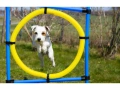  НОВИ! Аджилити обръч за куче пръстен за аджилити, снимка 6