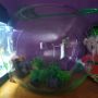 Сферичен аквариум 15л, снимка 1 - Оборудване за аквариуми - 45793788