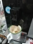 Кафемашина робот Melitta Caffeo SOLO E950 222, снимка 5