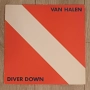 Van Halen ‎– Diver Down Издание 🇬🇧 UK 1982г Състояние на винила:едната страна е VG++,другата е VG+, снимка 1