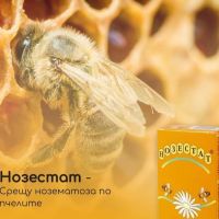 Нозестат - срещу нозематоза по пчелите без антибиотик, снимка 2 - За пчели - 45248694