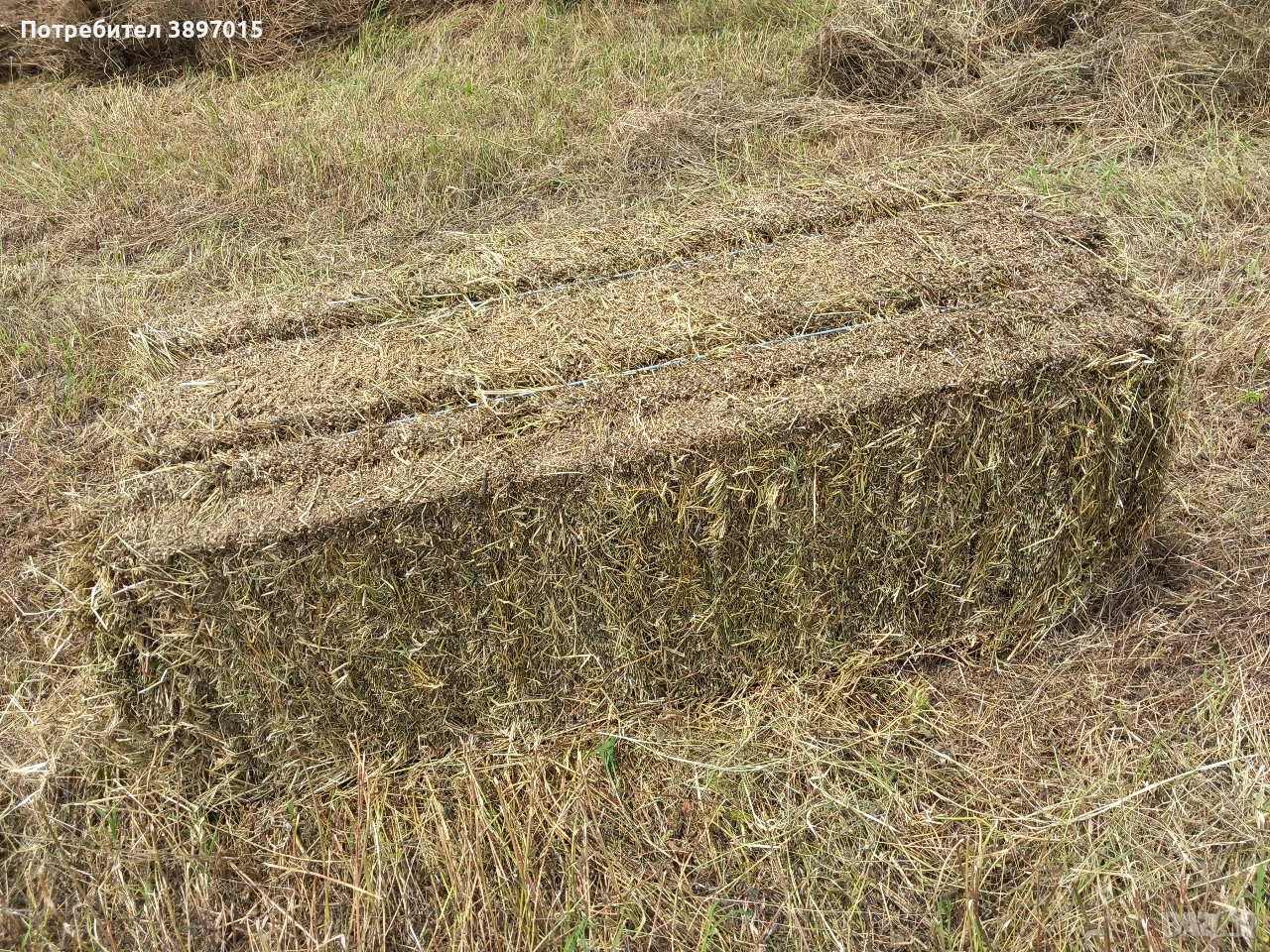 продавам бали сено и люцерна , снимка 1