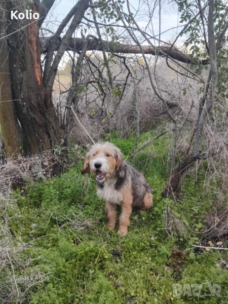 Продавам барак , снимка 1