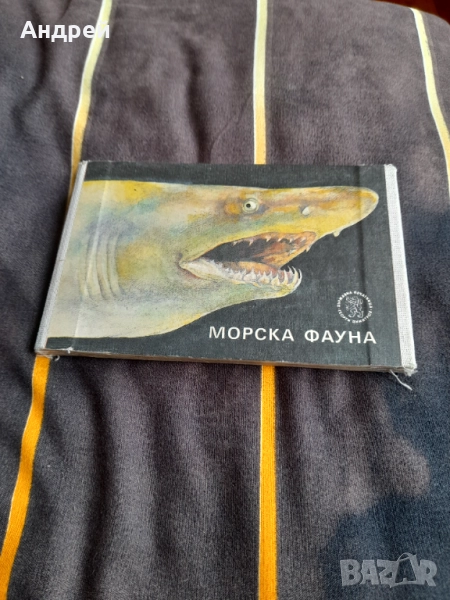 Детска книжка Морска Фауна, снимка 1