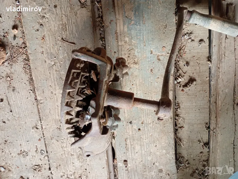 Стара ронкачка на царевица, снимка 1