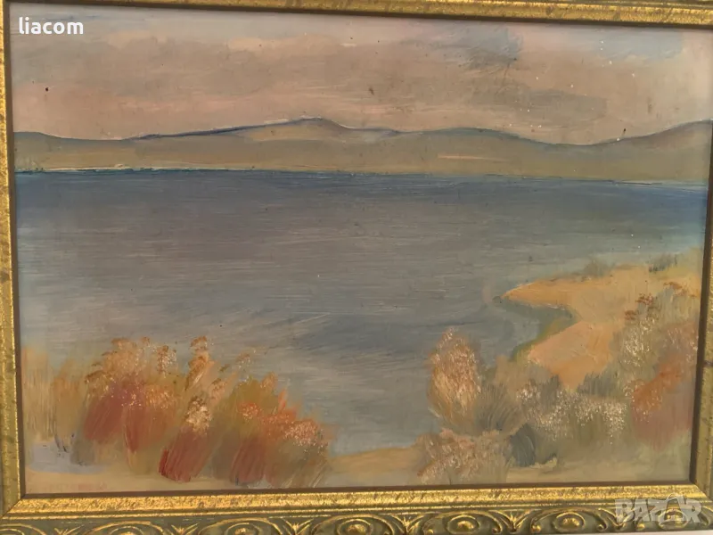 ЛЮДМИЛА ПОПТОШЕВА масло, пейзаж, снимка 1