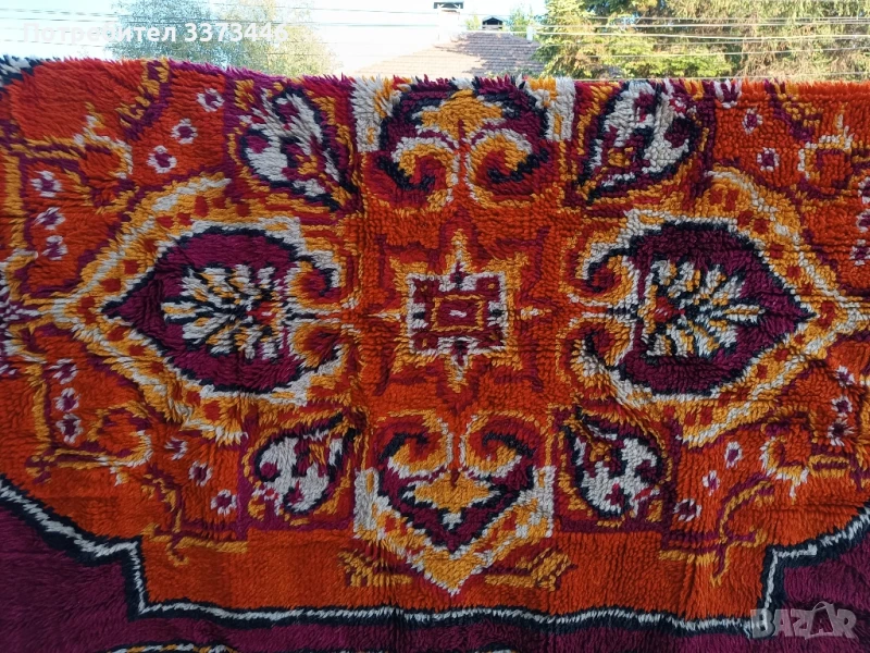 Вълнен китеник , снимка 1