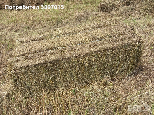 продавам бали сено и люцерна 