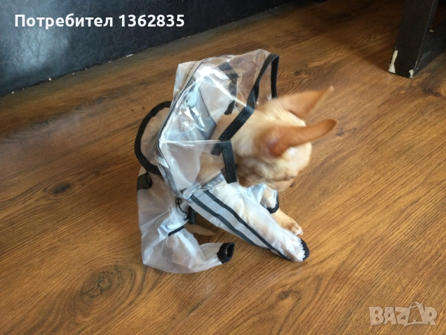 НОВ прозрачен дъждобран за куче от Италия размер S , снимка 2 - За кучета - 51972713