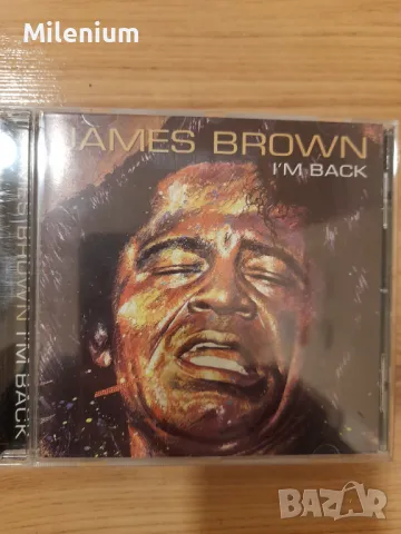 James Brown CD, снимка 1 - CD дискове - 48397074