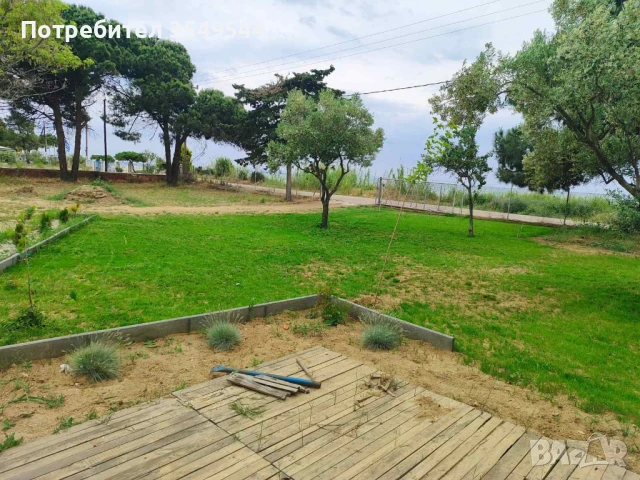 море Гърция мандра къмпинг натура.на първа линия на плажа., снимка 7 - Почивки в Гърция - 50690823