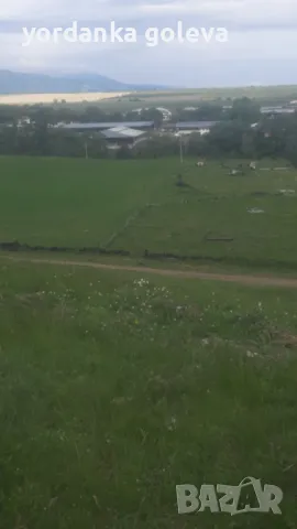 Ферма, снимка 3 - Земеделска земя - 50434775