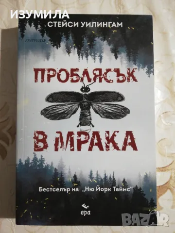 Проблясък в мрака - Стейси Уилингам, снимка 1 - Художествена литература - 48667253