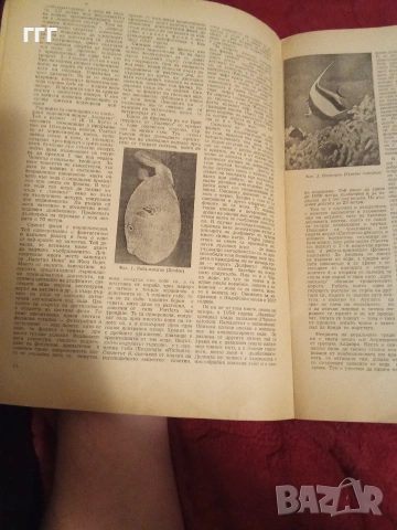 Природа и знание, снимка 6 - Списания и комикси - 53205399