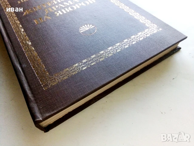 Житейската драма на Яворов - Никола Гайдаров - 1979г., снимка 5 - Други - 51207033