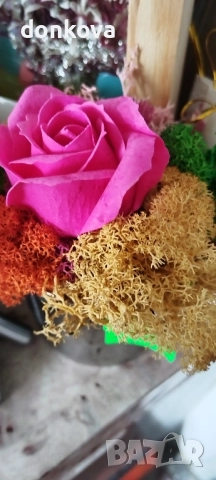 декорации ръчно изработени от жив скандинавски мъх и сапунени рози., снимка 14 - Декорация за дома - 52206004