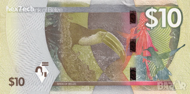 ❤️ ⭐ Белиз 2025 10 долара UNC нова ⭐ ❤️, снимка 3 - Нумизматика и бонистика - 51401374