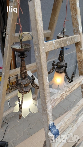 полилей два броя на цената на един. , снимка 7 - Други - 53725707