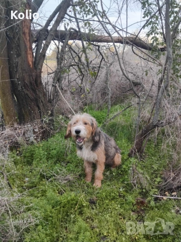 Продавам барак , снимка 1