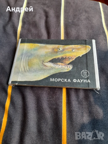 Детска книжка Морска Фауна