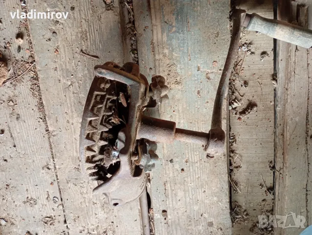 Стара ронкачка на царевица