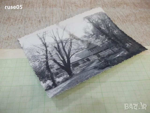 Снимка стара на хижа - 1, снимка 3 - Колекции - 51196475