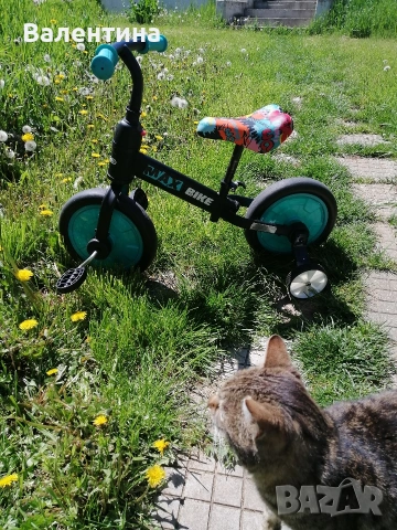 Детско колело "Chipolino" 2 в 1, снимка 2 - Детски велосипеди, триколки и коли - 54302158
