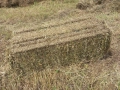 продавам бали сено и люцерна , снимка 1