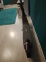 Продавам Segway Kikscooter e2 plus E II, снимка 4