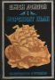 Морският вълк - Джек Лондон, снимка 1 - Художествена литература - 45609031