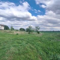 Атрактивен имот в местност Чойна Мусачево, снимка 8 - Парцели - 45388473